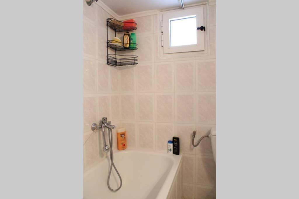 Holiday Apartment פלוגיטה מראה חיצוני תמונה